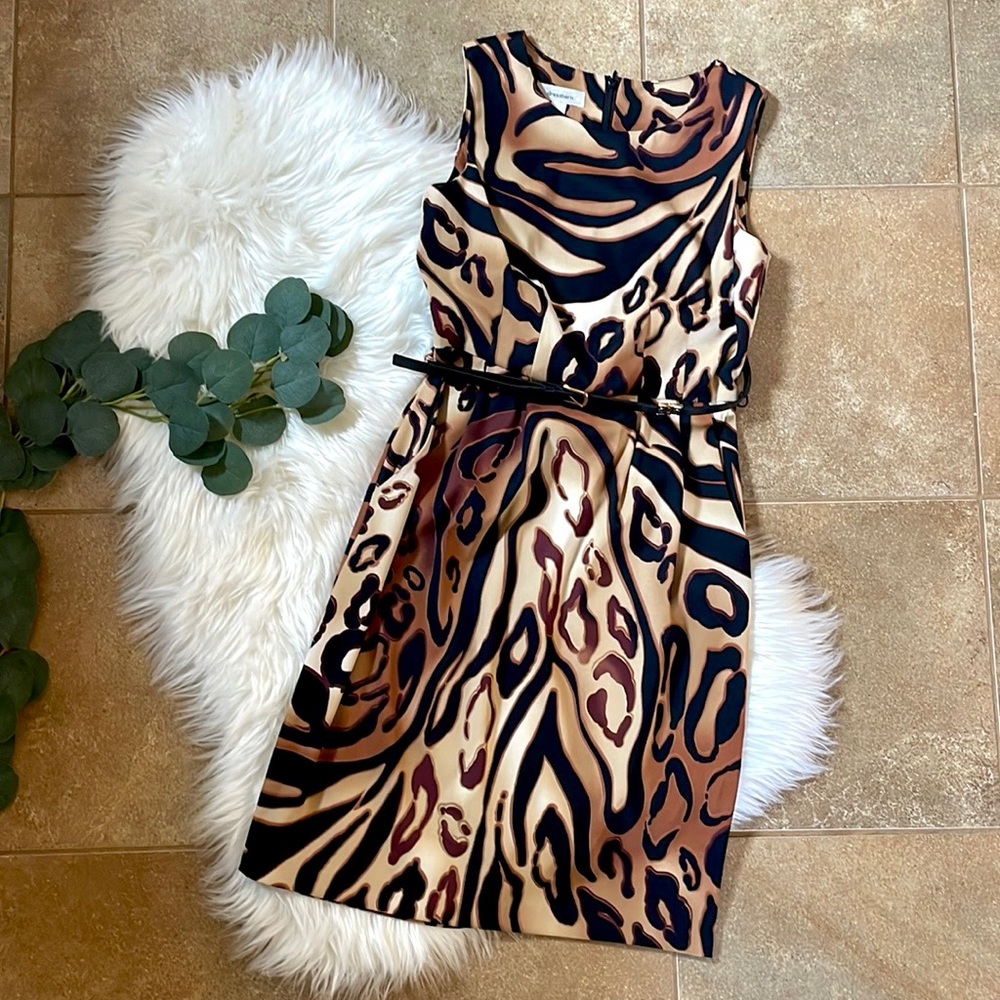 Dressbarn Dress